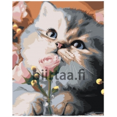 Maalaa numeroilla 8@E.-U0152