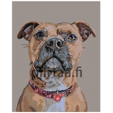 Maalaa numeroilla A101