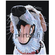 Maalaa numeroilla A103