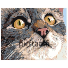 Maalaa numeroilla A106