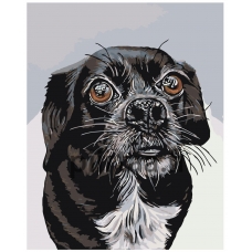 Maalaa numeroilla A107