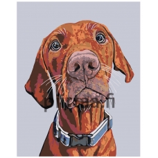 Maalaa numeroilla A108