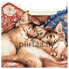 Maalaa numeroilla A117