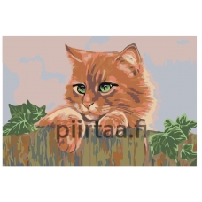 Maalaa numeroilla A122