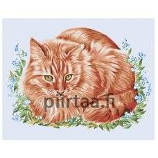 Maalaa numeroilla A123