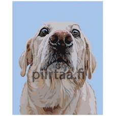 Maalaa numeroilla A139