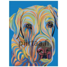 Maalaa numeroilla A145