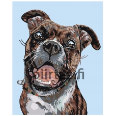 Maalaa numeroilla A149