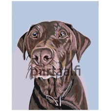 Maalaa numeroilla A150