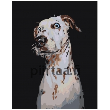 Maalaa numeroilla A151