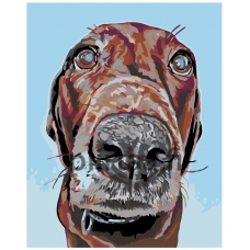 Maalaa numeroilla A152