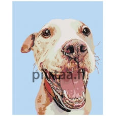 Maalaa numeroilla A154