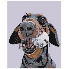 Maalaa numeroilla A155