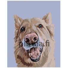 Maalaa numeroilla A156