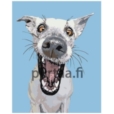 Maalaa numeroilla A157