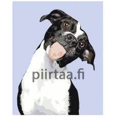 Maalaa numeroilla A158