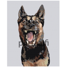 Maalaa numeroilla A159