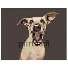 Maalaa numeroilla A160