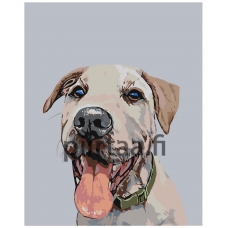 Maalaa numeroilla A161