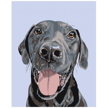 Maalaa numeroilla A162