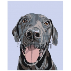 Maalaa numeroilla A162