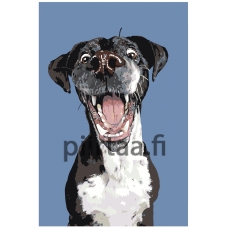 Maalaa numeroilla A165