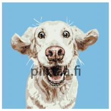 Maalaa numeroilla A166