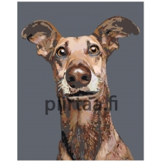 Maalaa numeroilla A167