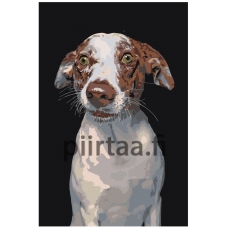 Maalaa numeroilla A168