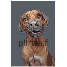 Maalaa numeroilla A169