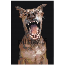 Maalaa numeroilla A171