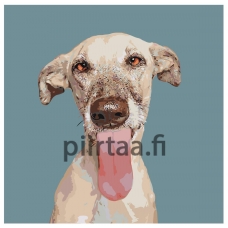 Maalaa numeroilla A172