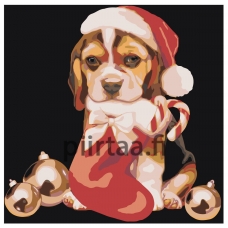 Maalaa numeroilla A176