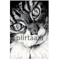 Maalaa numeroilla A208