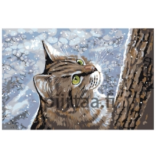 Maalaa numeroilla A211