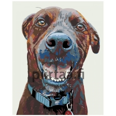 Maalaa numeroilla A219