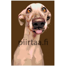 Maalaa numeroilla A220