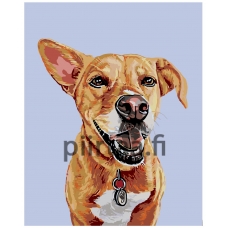 Maalaa numeroilla A221