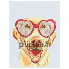 Maalaa numeroilla A224