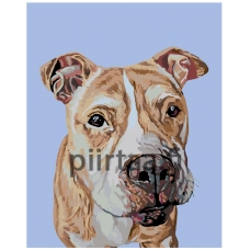 Maalaa numeroilla A225