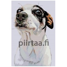 Maalaa numeroilla A228