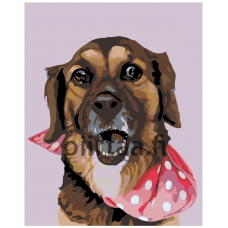 Maalaa numeroilla A229