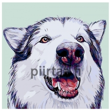 Maalaa numeroilla A231