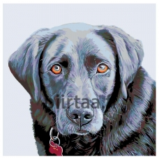 Maalaa numeroilla A232