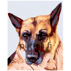 Maalaa numeroilla A233