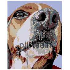 Maalaa numeroilla A234