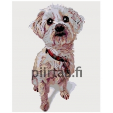 Maalaa numeroilla A236