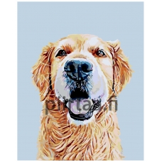 Maalaa numeroilla A237