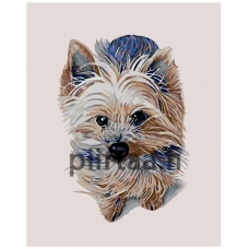 Maalaa numeroilla A240