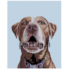 Maalaa numeroilla A241